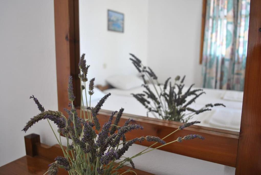 Antigoni Apartments 'Lavender Room' Mílatos Eksteriør bilde